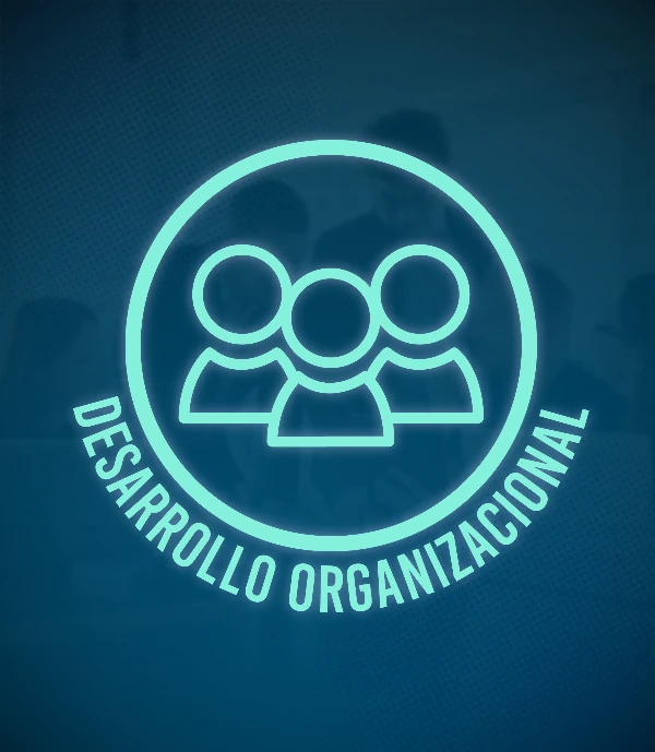 Desarrollo Organizacional